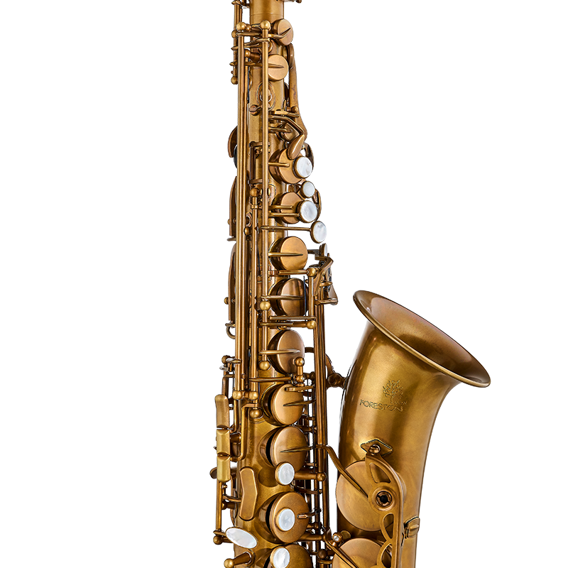 Forestone Alto Saxophone - GX Pro Vintage